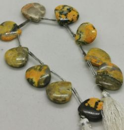 bumble bee jasper brilet