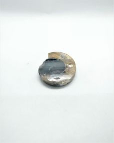 Cabochon Ammonite