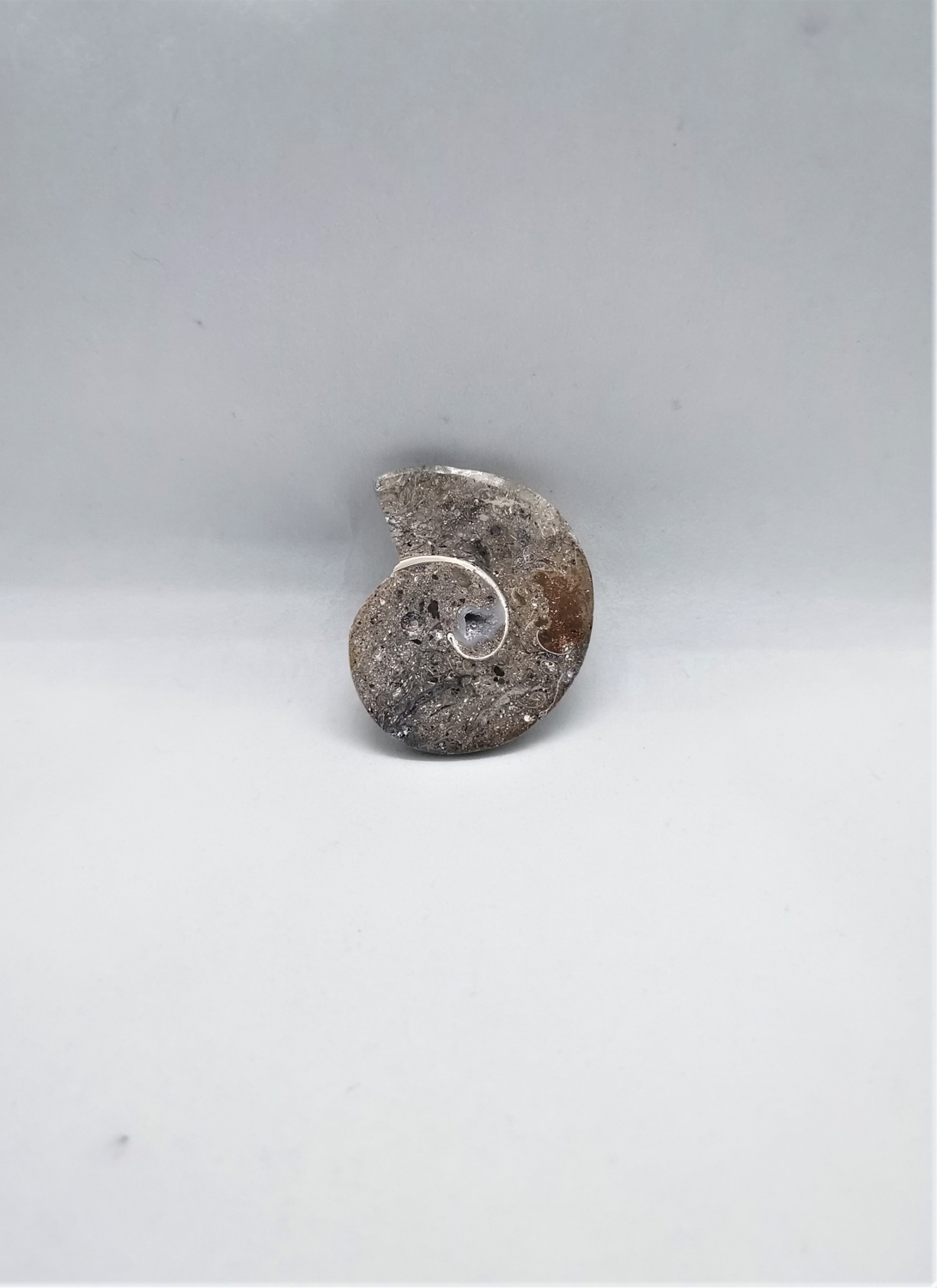 Cabochon Ammonite