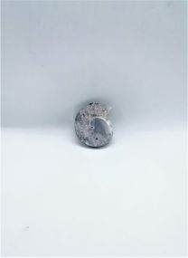 Cabochon Ammonite