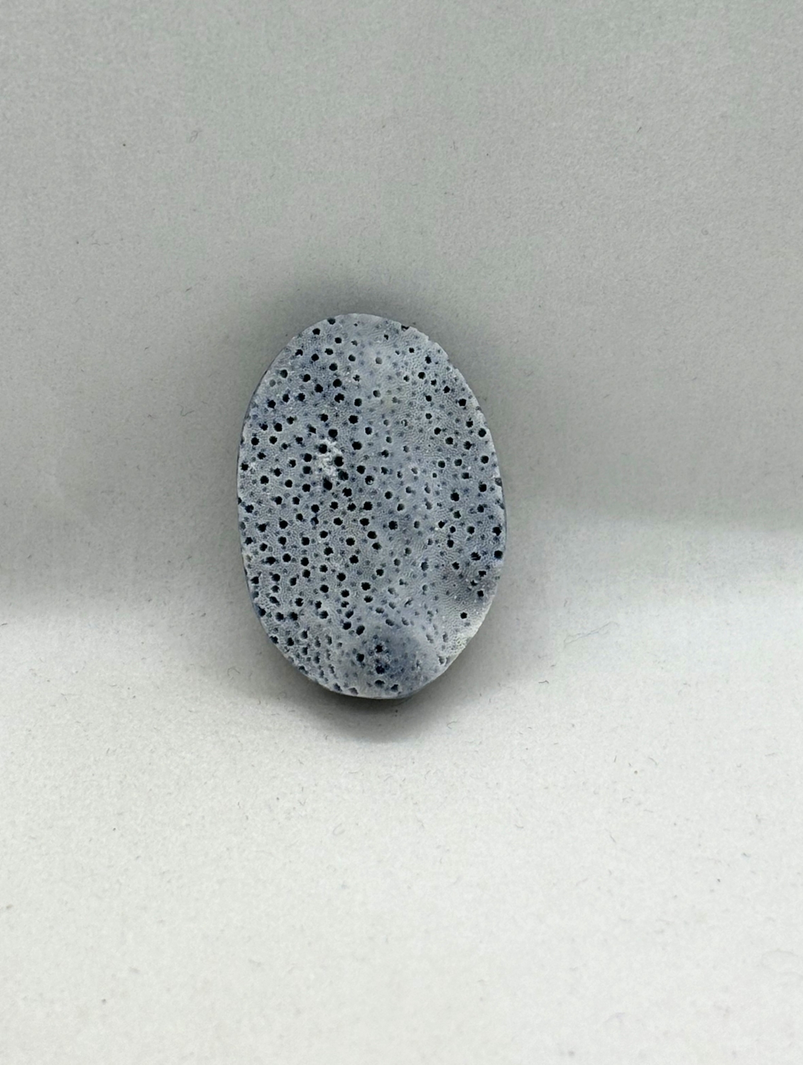 Cabochon Coral Albastro