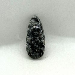 Cabochon Orthoceras