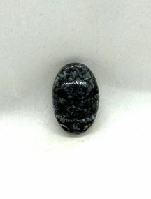 Cabochon Orthoceras