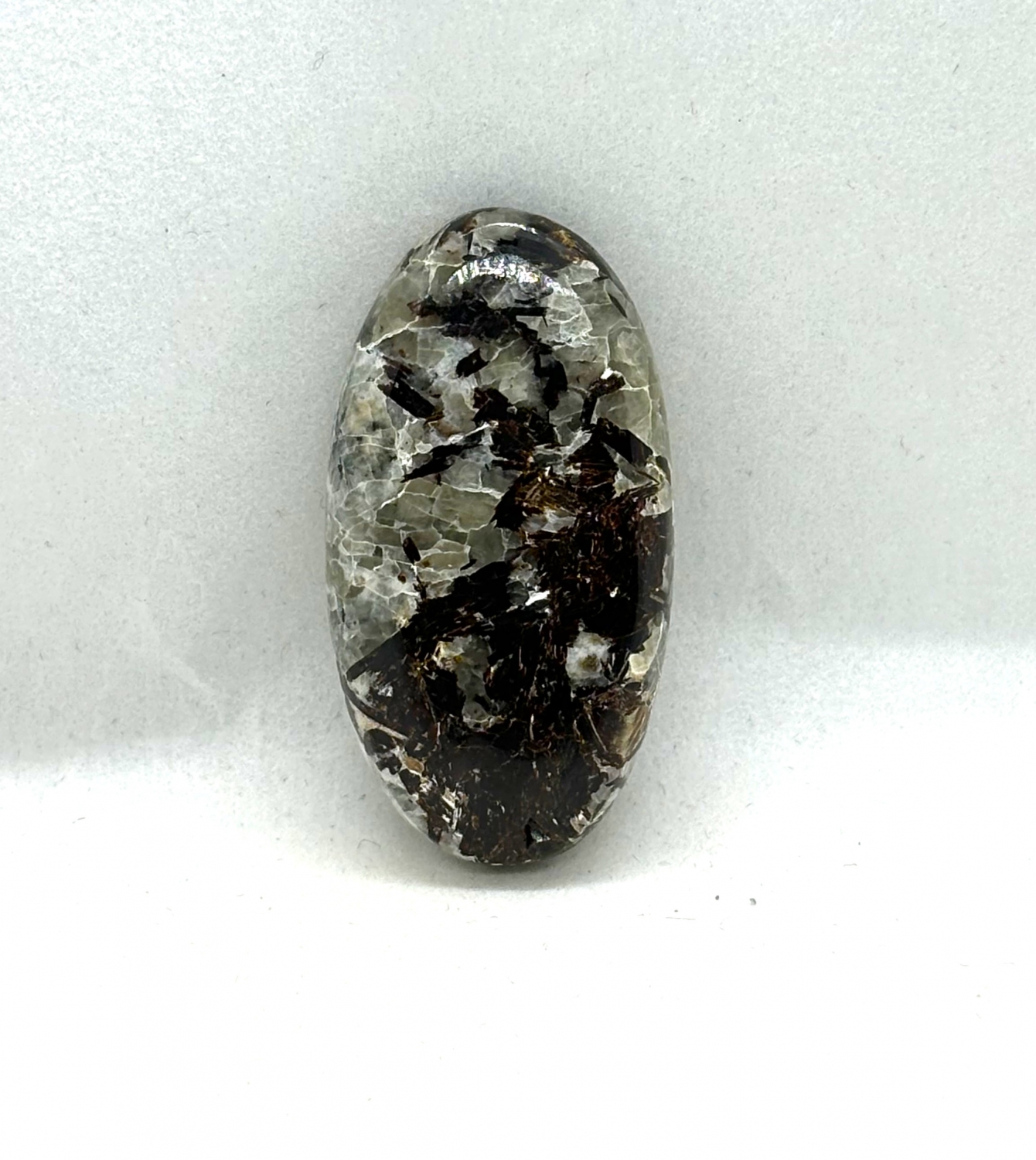 Cabochon Astrophyllite