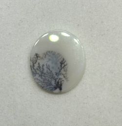 Cabochon Dendritic- Quartz 