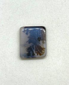 Cabochon Dendritic- Quartz 