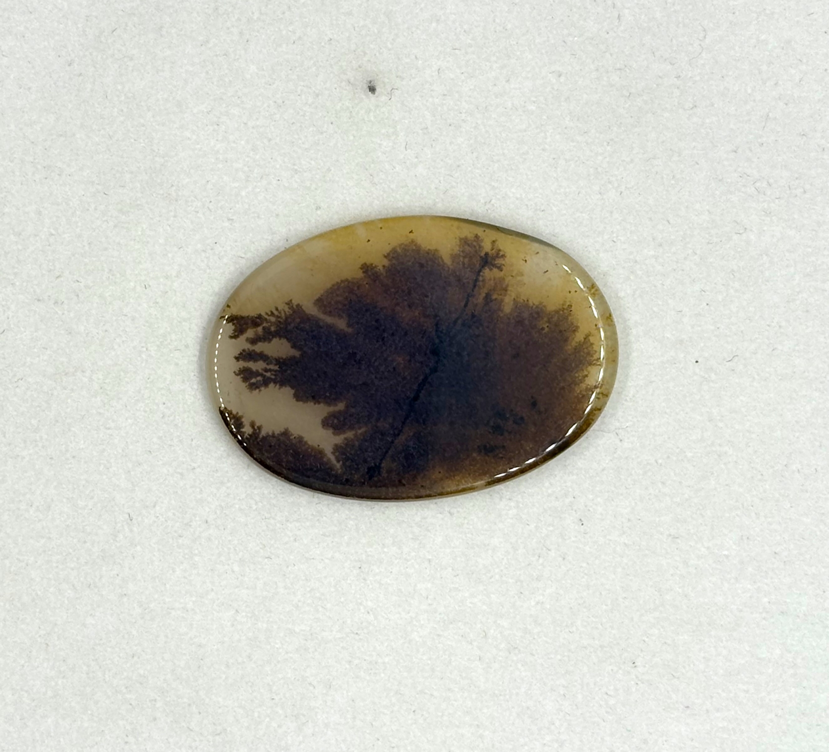 Cabochon Dendritic- Quartz 